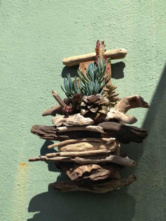succulent/driftwood wall arrangement
