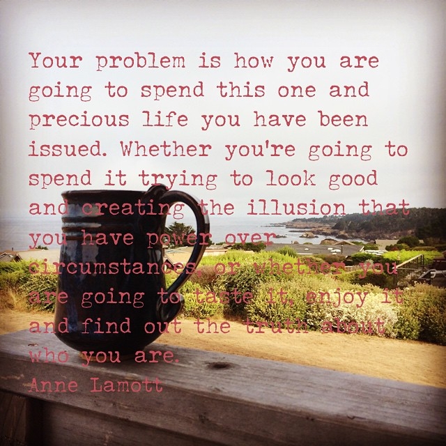 #annelamott #quotes #quotations #diggingbliss